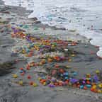 Les capsules de Kinder Surprise échouées sur la plage allemande 