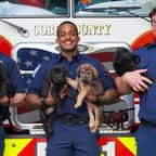 Les pompiers prenant la pose avec les chiots dans les bras 