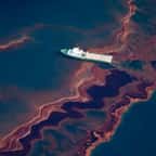 Marée noire causée par l'exposion de Deepwater Horizon