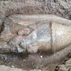 Statue de Ramsès II découverte en Égypte 