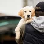 Un homme vole un chien