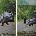 Un ours mord la jambe d'un homme