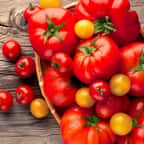 un panier rempli de belles tomates fra&icirc;ches