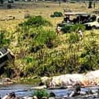 Un safari tourne mal en Tanzanie