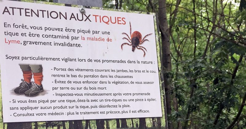 La maladie de Lyme : maladie professionnelle ou non ? La justice vient de trancher ! Par Hugo N. (+Vidéo sur Bidfoly.com)                     CoverC