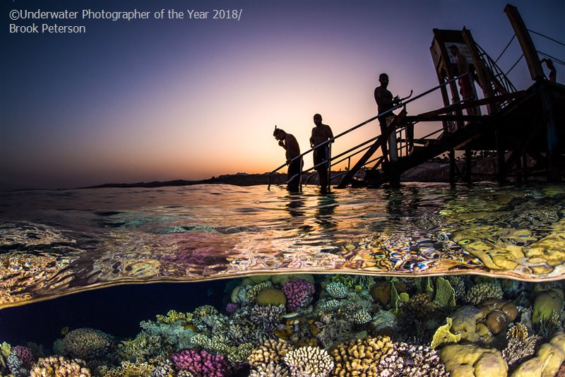 28 photos provenant du concours du Meilleur Photographe Sous-Marin de l'Année ! Par Hugo N. 103