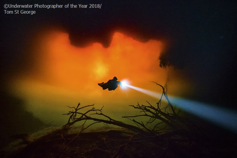 28 photos provenant du concours du Meilleur Photographe Sous-Marin de l'Année ! Par Hugo N. 109