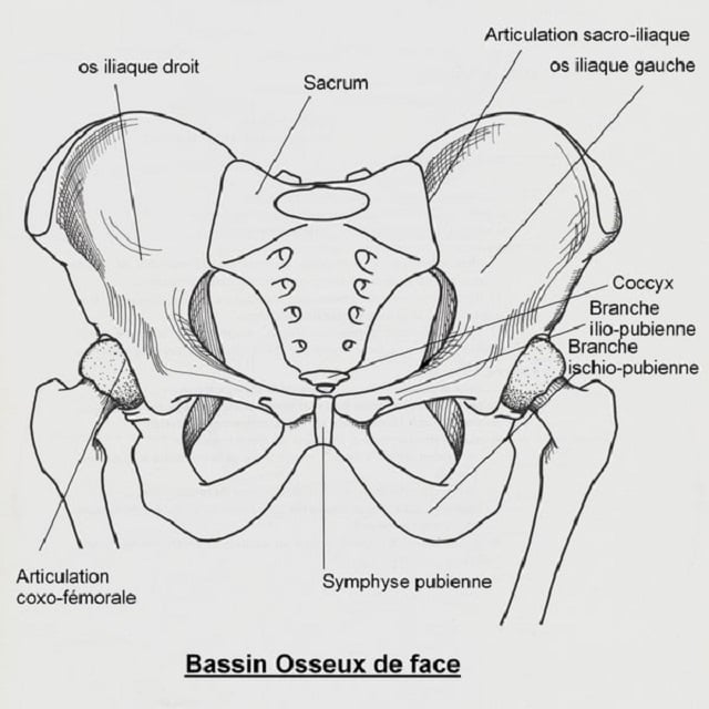 Tronçonneuse — Wikipédia