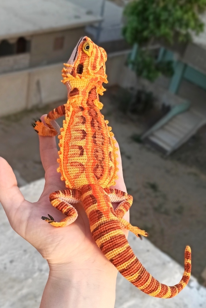 https://www.demotivateur.fr/images-buzz/110977/bearded-dragon-crochet-pattern-8.jpg