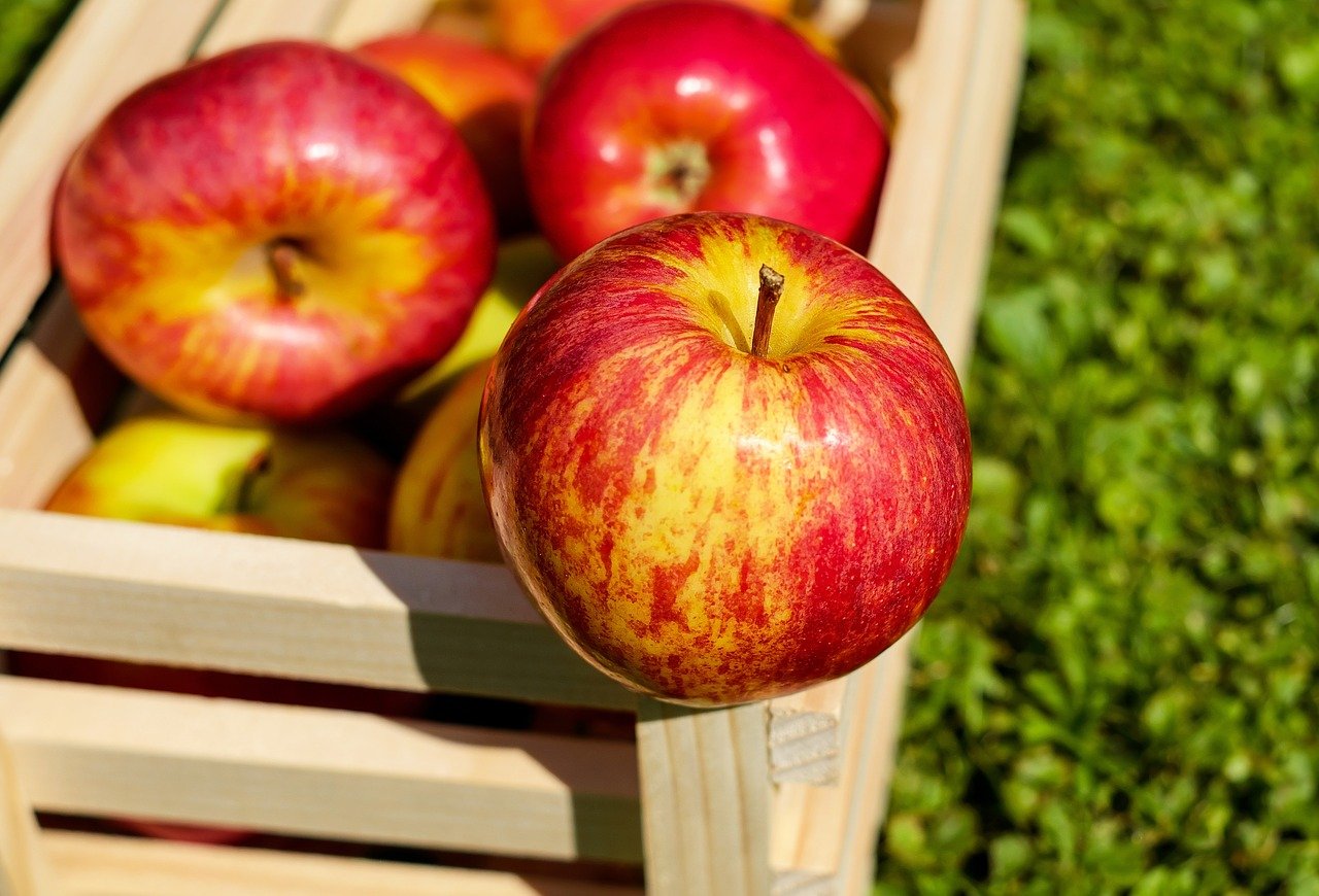 Perdre du poids : voici le fruit à manger tous les jours pour maigrir  rapidement et sans