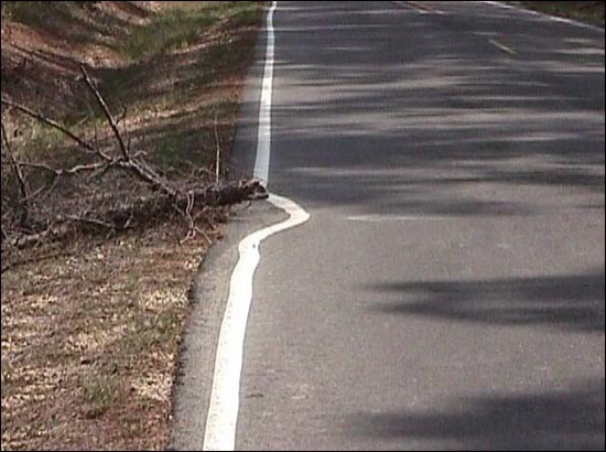15one-job-75641.jpg