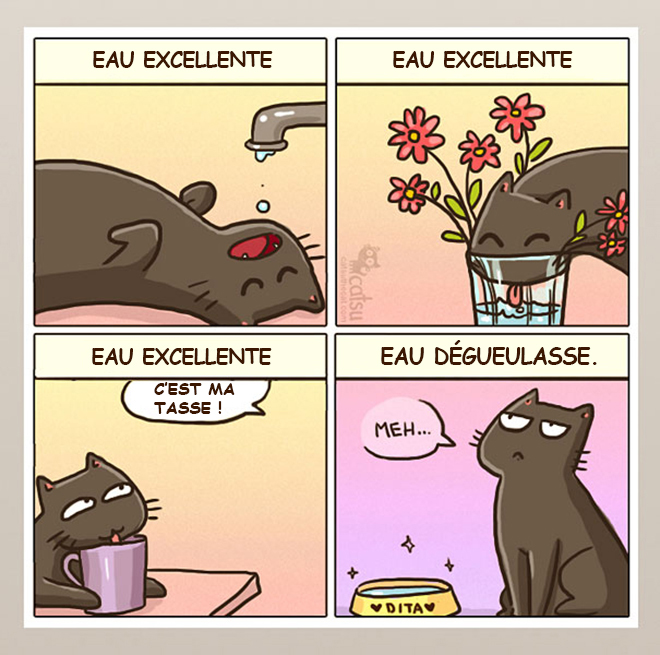 Vous Vivez Avec Un Chat Alors Cette Bande Dessinée Va