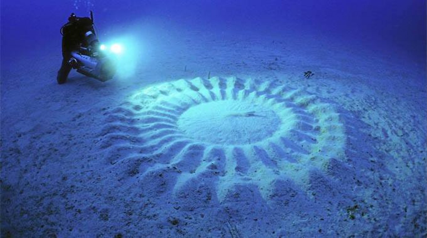 Image result for japanese puffer fish circles