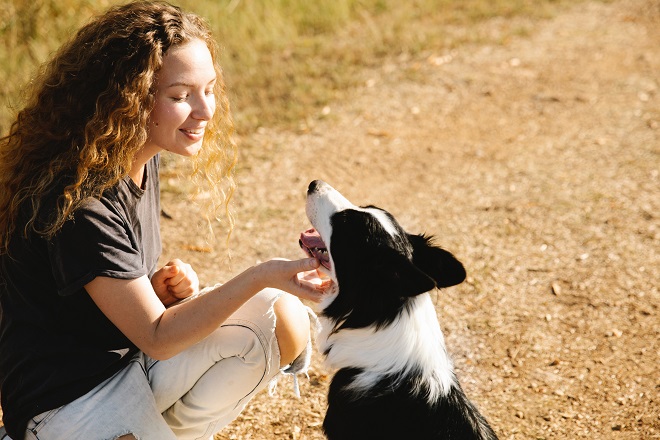 propriétaire et chien face à l’allergie