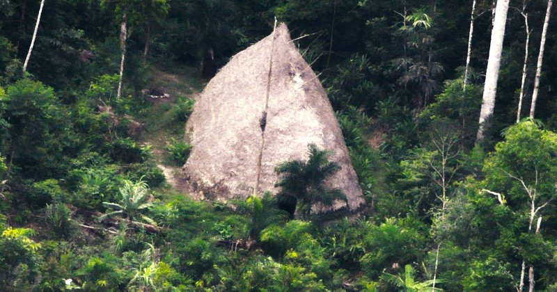 Des images inédites révèlent l'existence d'une tribu inconnue au Brésil ! Par Justine B. Couv2_7