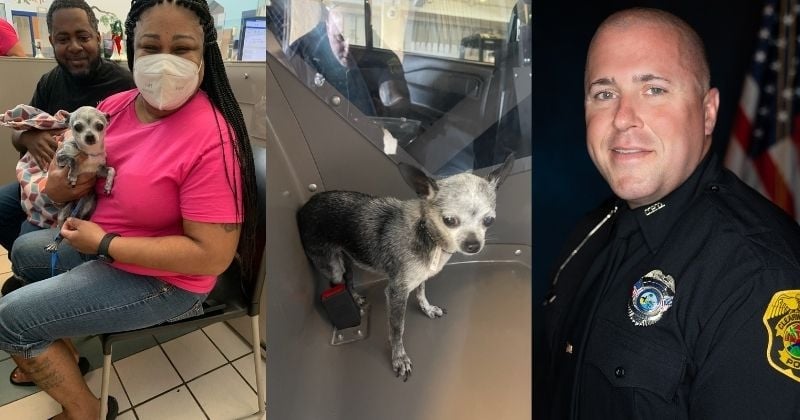 Inconsolable suite à la disparition de sa petite chienne, cette famille a reçu un appel miraculeux de la police