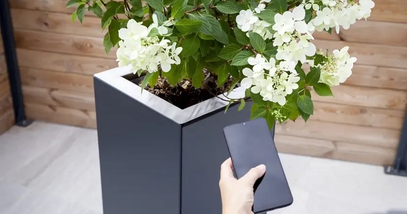 Une start-up toulousaine met au point un piège à moustiques écolo sous forme de jardinière