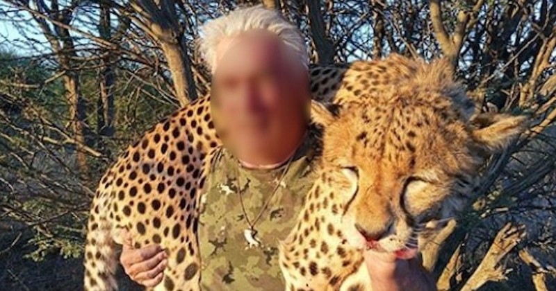 	 Safari de chasse : le patron d'une société de bus scolaire et sa femme épinglés sur les réseaux sociaux pour s'être affichés avec leurs trophées