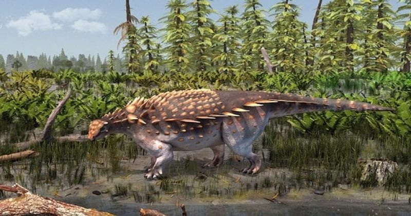 Des chercheurs britanniques ont découvert le fossile d'une nouvelle espèce de dinosaure 