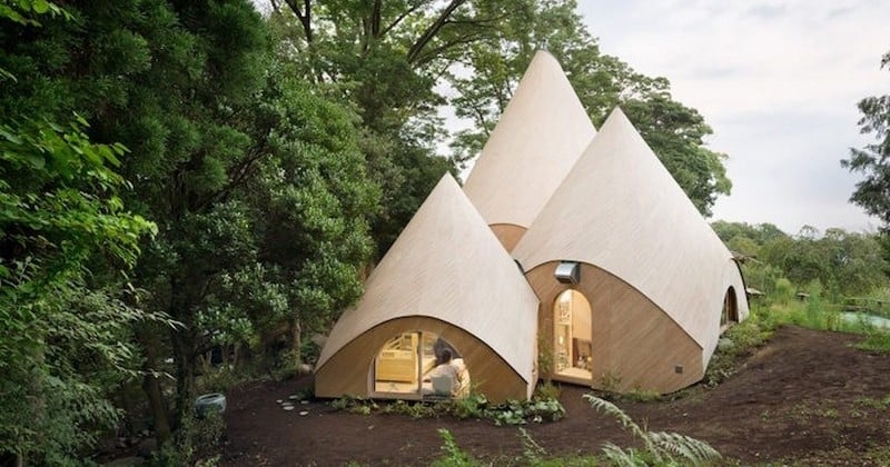 Conçue par un architecte japonais, cette maison de retraite installée en pleine nature est aussi esthétique que fonctionnelle	