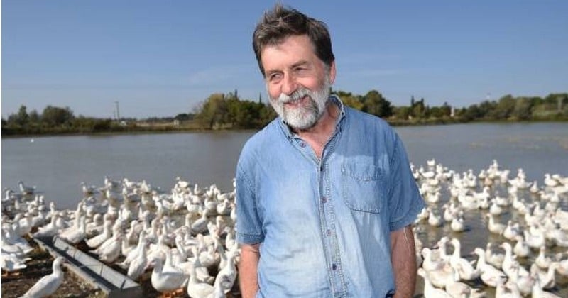 Grâce à ses canards, ce riziculteur camarguais se passe totalement de produits chimiques dans ses plantations