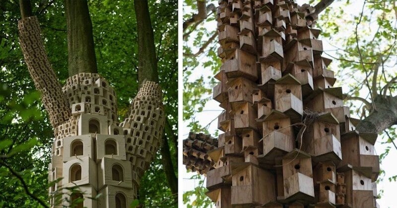 Ces « hôtels » miniatures pour oiseaux sont une merveille !