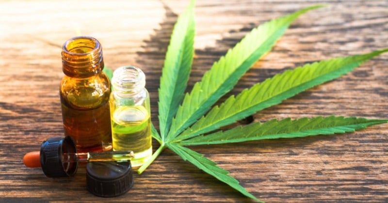 L'usage thérapeutique du cannabis jugé « pertinent » par le comité d'experts français qui s'est penché sur la question