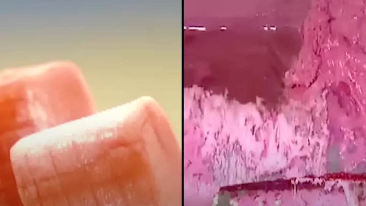 Vidéo : vous ne voudrez plus jamais manger de chewing-gum en découvrant comment ils sont fabriqués