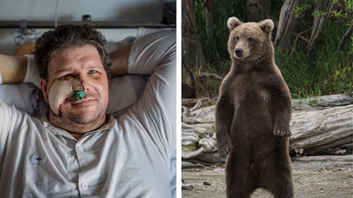 Un ours les attaque et les blesse son fils et lui, il se venge en le tuant, avant de le manger en famille