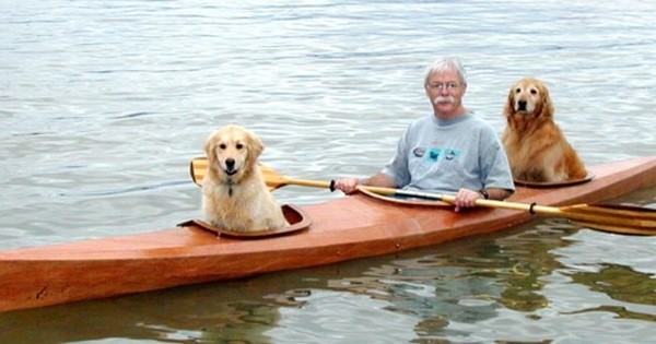 Cet homme a construit son propre kayak pour pourvoir embarquer ses chiens dans ses folles aventures. Génial !