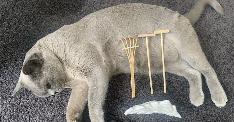 Une artiste crée un jardin zen miniature sur son chat, les photos valent le coup d'oeil 