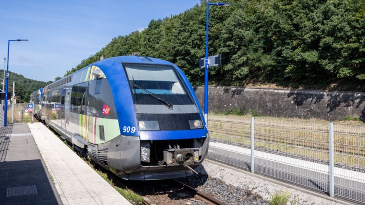 Un train s'arrête à cause d'une panne, les passagers en descendent, le train repart sans eux