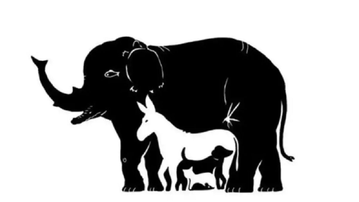 Il est presque impossible de trouver les 13 animaux cachés dans cette image, y parviendrez-vous ?