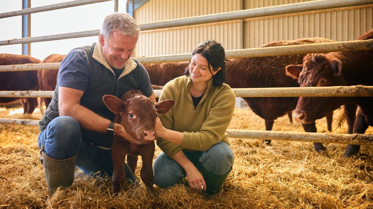 L'agriculture, un secteur d'avenir pour celles et ceux qui veulent changer les choses