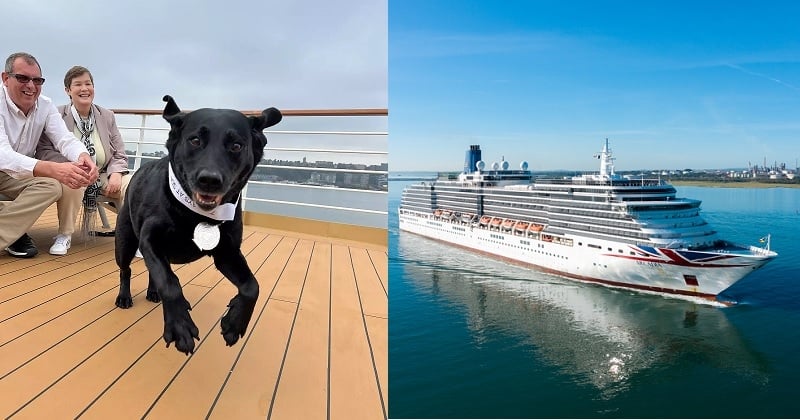 Une chienne a passé 700 jours de sa vie à bord d'un navire de croisière et s'est vue récompensée par la compagnie pour la loyauté