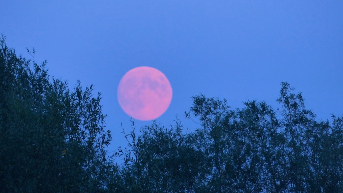 Préparez-vous, la «pleine Lune Rose» illuminera le ciel ce mardi 23 avril, voici comment l'observer