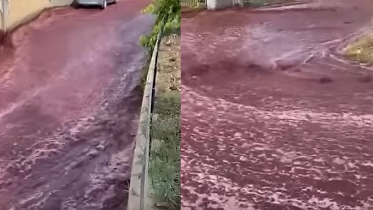 Un village du Portugal inondé par des millions de litres de vin rouge, des images impressionnantes