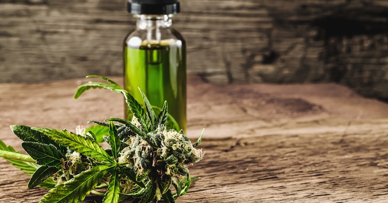 5 idées reçues sur le CBD qui sont fausses