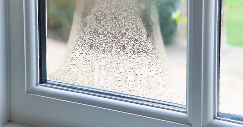 Humidité : comment limiter la formation de buée sur les fenêtres ? 