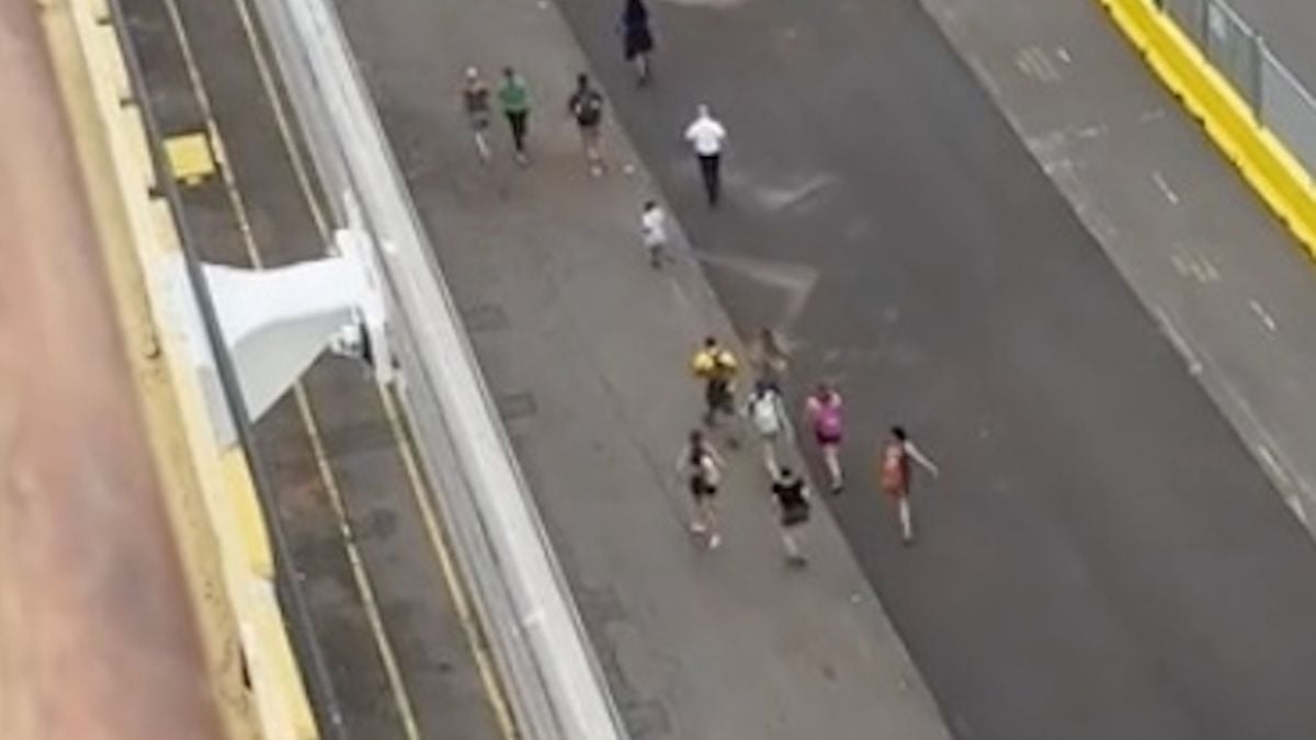 Tsunami à Hawaï : des passagers assistent impuissants au départ de leur bateau de croisière, qui les laisse à quai