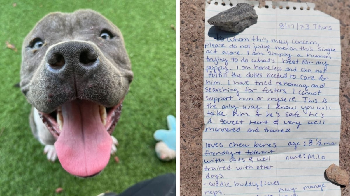 Un refuge animalier écrit un message touchant à un homme sans-abri qui a abandonné son chien pour une raison bouleversante 