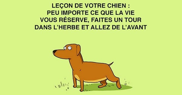 10 illustrations qui montrent parfaitement ce qu'est la vie quand on a un chien