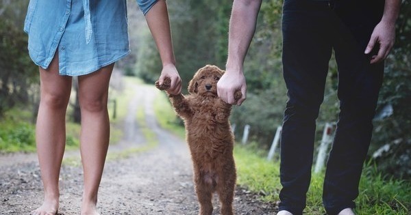 Leurs proches ne faisaient que demander à ce jeune couple quand ils auront un enfant ! Ce qu'ils ont fait pour leur répondre est excellent !