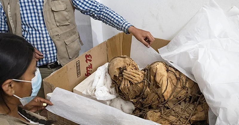 Au Pérou, des archéologues découvrent une intrigante momie d'un homme attaché avec des cordes