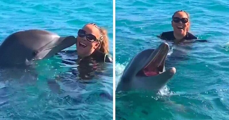 À l'écoute de Mariah Carey, qui lâche sa note la plus aiguë, ce dauphin a une réaction fantastique
