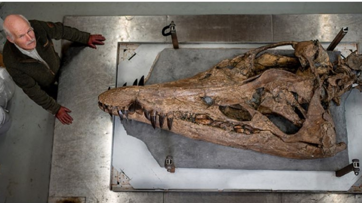 Un pliosaure, un monstre marin gigantesque, retrouvé intact sur la Côte du Jurassique