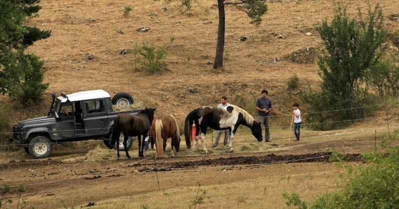 Un couple achète 115 hectares de terres abandonnées sur Le Bon Coin et crée une superbe réserve naturelle