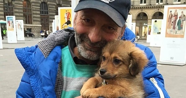 Le petit chien qui avait été arraché aux bras d'un sans-abri à Paris, a finalement retrouvé son propriétaire