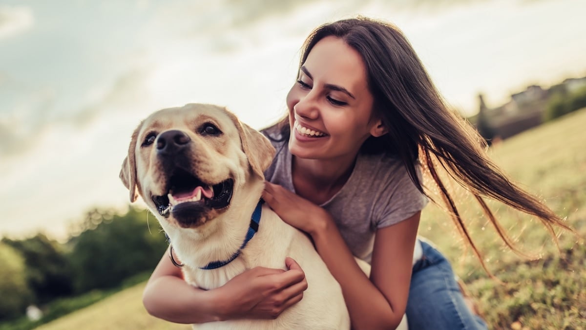 Un vétérinaire déconseille cette pratique qui fait de plus en plus d'adeptes chez les propriétaires de chiens