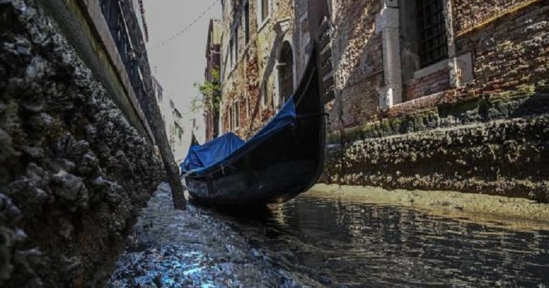 Les canaux de Venise à sec suite à une marée basse record, une odeur insupportable envahit la ville